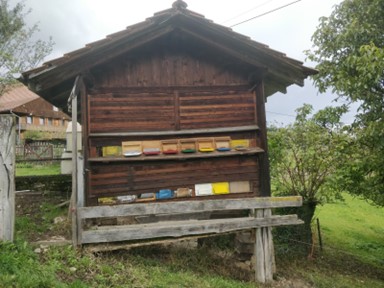 Foto des Bienenhauses im Hasli